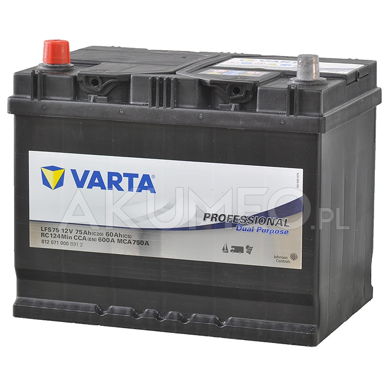 VARTA Professional Dual Purpose 60Ah