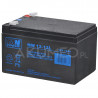 Akumulator AGM MW Power MW 12-12L VRLA