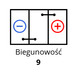 bieguny