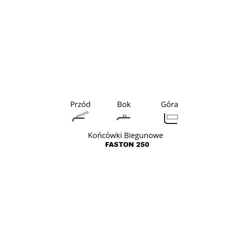 Końcówka biegunowa Faston 250